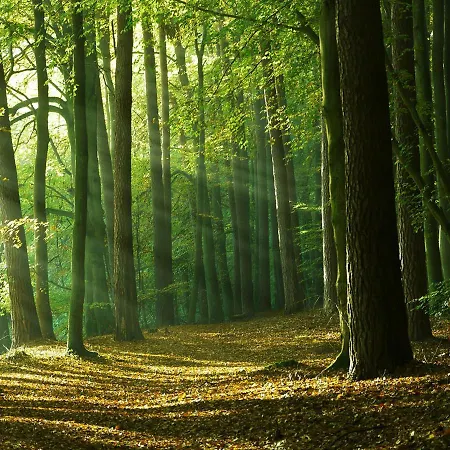 Waldschenke Stendenitz Uebernachten Im Wald Am See Neuruppin Extérieur photo