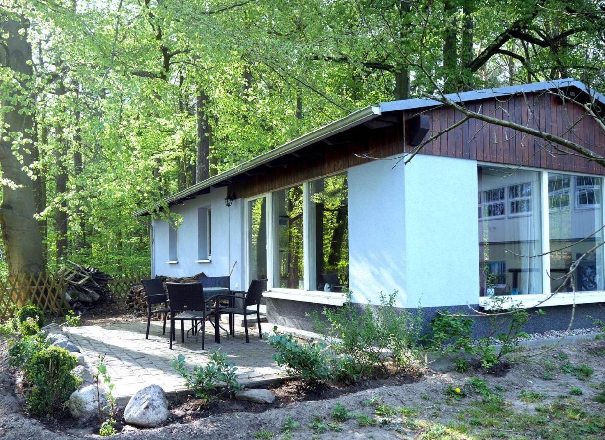 Appartement Waldschenke Stendenitz Uebernachten Im Wald Am *